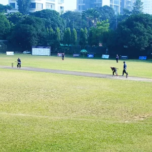 Cricket Net Turf Pitch