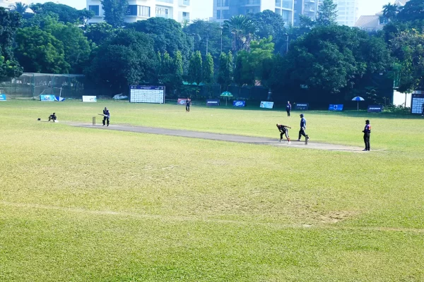 Cricket Net Turf Pitch