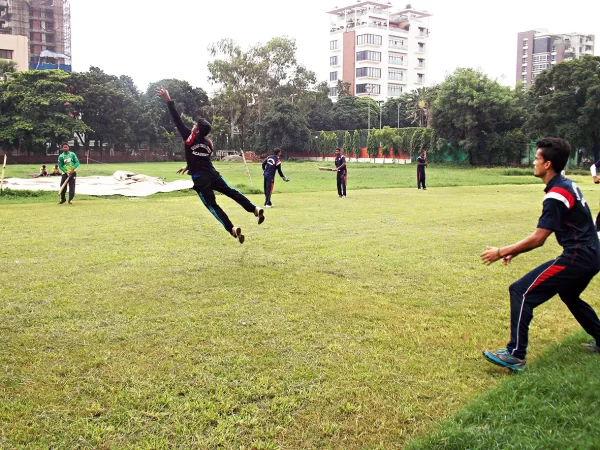 Cricket Net Turf Pitch (Night-2)